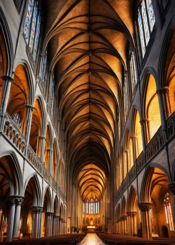cathedrals,louvain,vaulted ceiling,oxbridge,hammerbeam,markale,transept,arcaded,buttresses,theresienwiese,nave,yale,vaults,ghent,neogothic,buttressing,chrobry,ceilinged,yale university,cathedral st gallen,Illustration,Black and White,Black and White 29