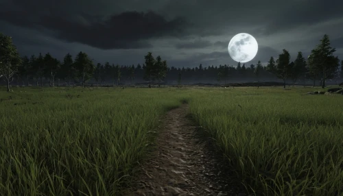 deadmarsh,moonsorrow,cryengine,moonlit night,enb,moonlit,moonglow,moon at night,forest dark,darkfall,moonshadow,dayz,slender,dark park,the night of kupala,moonlight,nacht,unturned,darklands,moonwalked,Photography,General,Realistic