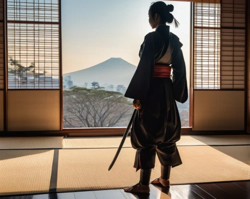 hakama,iaido,kyudo,heian,goryeo,bujinkan,michizane,tea ceremony,japan's three great night views,japanese-style room,niten,ryokan,rakugo,geiko,dojo,woman silhouette,tatami,shingen,honmaru,shintoism,Photography,General,Realistic