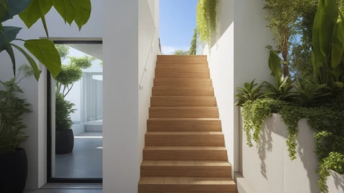 hallway space,outside staircase,wooden stairs,garden design sydney,plant tunnel,staircases,stairways,stairwell,green living,entryway,hallway,wooden stair railing,breezeway,walkway,climbing garden,hanging plants,landscape design sydney,tunnel of plants,stairs,daylighting,Photography,General,Realistic
