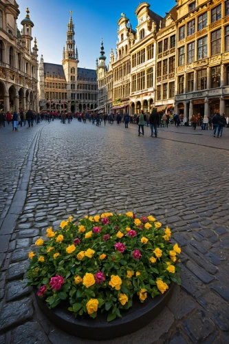 grand place,brussels belgium,brussels,bruxelles,brussel,belgium,arras,leuven,belgique,bruselas,belgica,anvers,antwerpen,verbrugge,antwerp,benelux,flower clock,oudenaarde,spui,lille,Conceptual Art,Daily,Daily 29