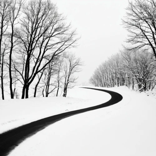snow trail,chemin,snow landscape,winding road,snowy landscape,paths,the path,winter background,roadless,pathway,winter landscape,tree lined path,snowfalls,snowdrifts,winterland,winterreise,the mystical path,deep snow,whitewall,road of the impossible,Illustration,Black and White,Black and White 33