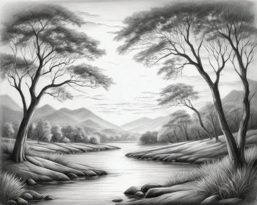 river landscape,brook landscape,landscape background,swampy landscape,salt meadow landscape,forest landscape,riparian,small landscape,streamside,an island far away landscape,wetland,nature landscape,marshlands,landscape,forest background,wetlands,mountain scene,winter landscape,floodplain,duncanson,Illustration,Black and White,Black and White 30