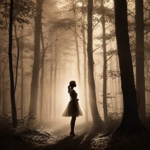woman silhouette,girl walking away,ballerina in the woods,girl with tree,silhouette,dance silhouette,mystical portrait of a girl,silhouette art,woman walking,art silhouette,girl in a long,halloween silhouettes,eerie,the silhouette,female silhouette,the girl next to the tree,haunted forest,women silhouettes,in the forest,forest walk,Photography,Artistic Photography,Artistic Photography 15