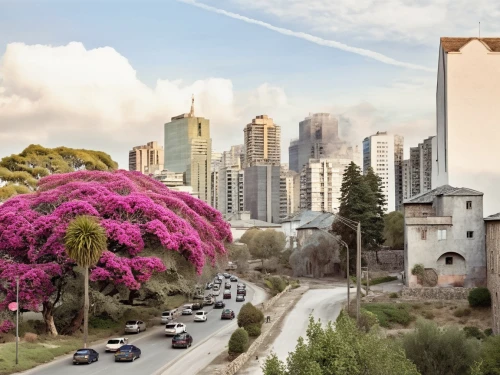 campinas,são paulo,benidorm,londrina,achrafieh,vidigal,uberlandia,cidade,pinheiros,blumenau,beyrouth,mocidade,ashrafieh,curitiba,ibirapuera,sampa,jacaranda,ribadeneira,hadera,vedado,Photography,General,Realistic