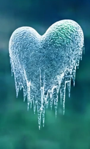 watery heart,ice crystal,ice rain,unfreezing,frozen dew drops,ice,frost bubble,frozen ice,coldhearted,heart background,love in air,warmly,melt,winter background,frozen bubble,thawed,frostbitten,supercold,ice flowers,hielo