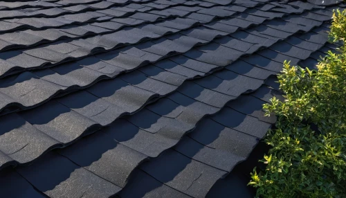 slate roof,roof tiles,roof tile,roof landscape,tiled roof,house roofs,roofing,house roof,roofing work,the old roof,shingled,roof plate,roof panels,shingles,roofs,shingle,shingling,metal roof,rooflines,roof,Art,Classical Oil Painting,Classical Oil Painting 16