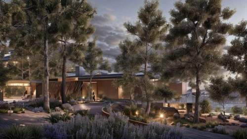 landscape design sydney,garden design sydney,landscape designers sydney,3d rendering,renderings,amanresorts,dunes house,qasr azraq,render,landscaped,mid century house,revit,ecovillages,cohousing,mudbrick,ecovillage,resort,nature garden,sansar,caravanserai