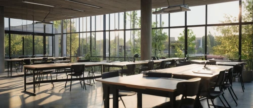 school design,schoolrooms,lecture room,daylighting,cafeteria,canteen,lecture hall,classrooms,lunchroom,lunchrooms,hogeschool,cantine,classroom,aschaffenburger,epfl,study room,schulich,camosun,class room,snohetta,Art,Classical Oil Painting,Classical Oil Painting 24