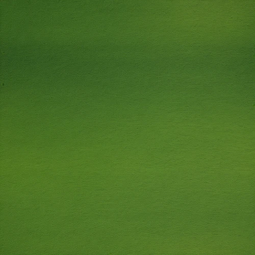 green wallpaper,green background,green,verde,green folded paper,leaf green,light green,gradient blue green paper,greenie,midori,gras,greeno,patrol,frog background,soup green,green lawn,green started,greenleft,hultgreen,lime,Photography,General,Realistic