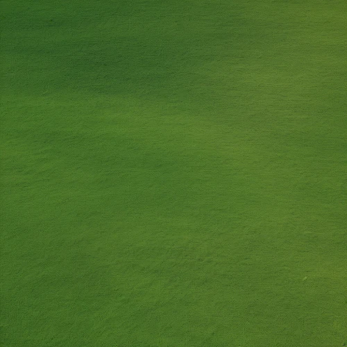 golf course grass,green wallpaper,green lawn,bentgrass,zoysia,green grass,golf course background,golf lawn,block of grass,green background,turfgrass,paspalum,artificial grass,lawn,grasslike,grass golf ball,greengrass,grass,gras,astroturf,Photography,General,Realistic