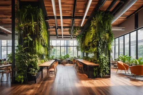 hanging plants,forest workplace,green living,gensler,creative office,greenhaus,greentech,foodplant,snohetta,wintergarden,roof garden,houseplants,greenforest,weyerhaeuser,greenhut,green plants,biophilia,modern office,packinghouse,culinary herbs,Photography,Documentary Photography,Documentary Photography 38