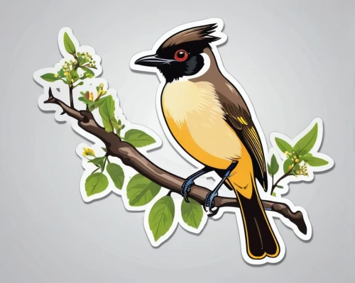 bushshrike,bananaquit,bushshrikes,aracama,laughingthrush,white-winged widowbird,cuban oriole,butcherbird,sooty-headed bulbul,pied butcherbird,treepies,honeyeater,grosbeak,friarbird,pied myna,bird png,spur-winged plover,pied babbler,orange-bellied flowerpecker,bulbul,Unique,Design,Sticker