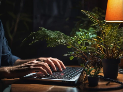 man with a computer,hostplant,forest workplace,deskjet,computer addiction,blur office background,cybercriminals,computer business,desk lamp,hostplants,work at home,telecommuter,remote work,girl at the computer,digital nomads,working space,workspaces,night administrator,computerization,cybersquatting,Photography,Artistic Photography,Artistic Photography 02