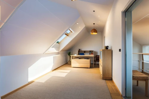 velux,hallway space,sky apartment,daylighting,attic,loft,skylights,loftily,smartsuite,modern room,inverted cottage,vaulted ceiling,interior modern design,cubic house,oticon,attics,skylight,penthouses,appartement,concrete ceiling,Photography,General,Realistic