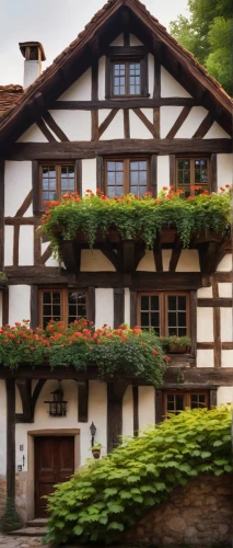 half-timbered house,half-timbered wall,highstein,timber framed building,half-timbered houses,timbered,swiss house,holthaus,witthaus,auberge,lockenhaus,landhaus,paliburg,half timbered,reuten,glickenhaus,osterhaus,lohr,wisgerhof,regnitz,Conceptual Art,Fantasy,Fantasy 09