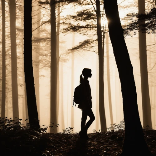 woman silhouette,silhouette of man,man silhouette,women silhouettes,girl walking away,art silhouette,silhouette art,woman walking,female silhouette,cowboy silhouettes,dance silhouette,the silhouette,silhouette,silhouettes,silhouetted,hiker,halloween silhouettes,fir tree silhouette,forest walk,the wanderer,Photography,Artistic Photography,Artistic Photography 09