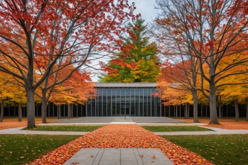 the trees in the fall,fall foliage,trees in the fall,fall landscape,njitap,fall colors,fall leaves,colored leaves,uconn,fall leaf border,jadwin,autumn frame,colors of autumn,fall,uva,vmfa,autumns,autumn foliage,autumn in the park,autumn trees,Art,Classical Oil Painting,Classical Oil Painting 30