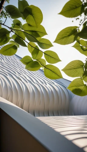 garden bench,biomimicry,roof landscape,balconied,garden design sydney,corrugation,rain gutter,soffits,landscape design sydney,undulating,superadobe,wisteria shelf,daylighting,louvered,talalay,pedimented,fiberglas,corrugated sheet,landscape designers sydney,balcony garden,Illustration,Retro,Retro 22