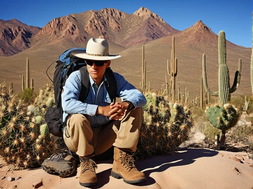 desierto,vaquero,tarahumara,peyote,tularosa,argentina desert,borrego,perleberg,atacama desert,minero,migrante,ariz,desert,deserticola,puestos,tamanrasset,paleobotanist,mesas,sonoran desert,sombrero mist,Art,Artistic Painting,Artistic Painting 47