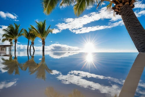 reflejo,sun reflection,reflectional,reflection in water,water reflection,reflexive,tropical house,reflections in water,windows wallpaper,canary islands,tropical island,dream beach,water mirror,tropical beach,tenerife,refleja,mirror water,reflections,tropical sea,full hd wallpaper,Photography,Documentary Photography,Documentary Photography 33