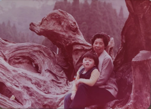 chipko,crooked forest,ganoderma,the girl next to the tree,damaged tree,redwood tree,happy children playing in the forest,foremothers,alaskans,redwood,hermits,vintage asian,girl with tree,matriarchs,old tree,wood angels,ektachrome,manzanita,the roots of trees,big trees