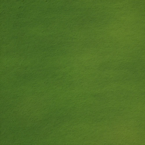 gradient blue green paper,green wallpaper,green folded paper,green background,crayon background,verde,frog background,green border,green,square background,linen paper,paper background,colored pencil background,leaf green,light green,greenscreen,green screen,green started,cactus digital background,greenie,Photography,General,Realistic