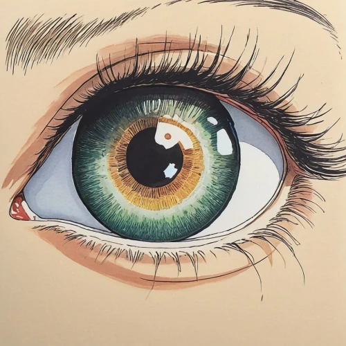 women's eyes,coloboma,hyperrealism,oeil,corneal,eye,pupillary,peacock eye,photorealist,intraocular,ojos,oil painting on canvas,extraocular,eyeball,eye ball,cornea,eyeshot,eyes line art,eyeballs,pupil,Illustration,Japanese style,Japanese Style 11