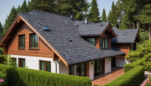 slate roof,house roof,roof tile,roof landscape,roof tiles,folding roof,house roofs,tiled roof,dormer,roofing work,wooden roof,metal roof,grass roof,roofing,roof panels,red roof,3d rendering,dormers,wooden house,roof plate,Illustration,Vector,Vector 10