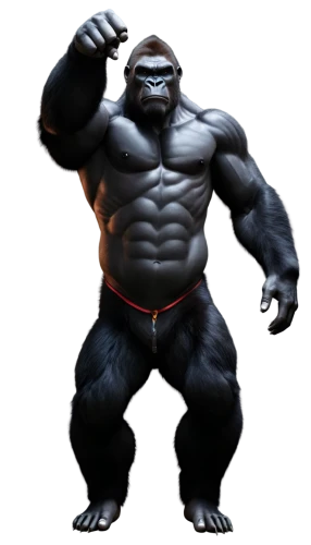 gorilla,ape,grodd,dk,goro,silverback,molossus,brute,apeman,rilla,prosimian,akuma,simian,3d model,shabani,haramirez,3d rendered,3d render,konga,bulmahn,Photography,Documentary Photography,Documentary Photography 11