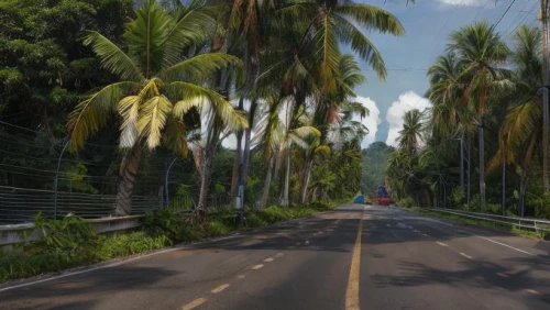 thamarassery,palm forest,ringroad,loboc,andamans,road,coconut palms,puttur,coconut trees,gregory highway,tomohon,long road,tubod,coastal road,open road,tree lined lane,marthandam,maguindanao,chiplun,ciamis,Realistic,Foods,None