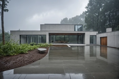 tugendhat,dunes house,forest house,lago grey,neutra,modern house,rainstorm,rainwater,modern architecture,landscaped,weatherproofing,bohlin,residential house,mid century house,rainy day,lohaus,rainy,rain shower,pool house,exposed concrete,Photography,General,Realistic
