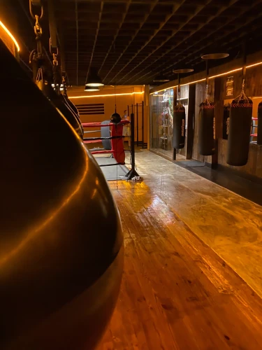 boxing,boxe,boxing gloves,kettlebell,kettlebells,shadowboxing,sparred,sanshou,medicine ball,kickboxing,punchdrunk,dojo,muaythai,sparring,glowacki,kickboxers,fitness room,prizefight,uppercuts,prefight