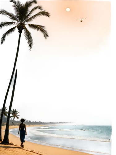 beach landscape,photo painting,beach scenery,lihue,beach background,waialae,dream beach,anare,hawaii,barotropic,world digital painting,plage,waikiki beach,sunset beach,tropical sea,outrigger,hawai,south pacific,varkala,tropical beach,Art,Artistic Painting,Artistic Painting 29