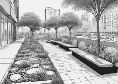 sketchup,landscaped,microhabitats,pedestrianized,renderings,urban design,urban park,xeriscaping,roof garden,landscape design sydney,plantings,3d rendering,sake gardens,flowerbeds,start garden,patios,streetscape,conservancy,wintergarden,garden design sydney,Illustration,Black and White,Black and White 11