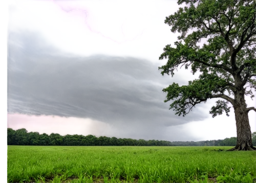 tornado drum,tornadic,downburst,mesocyclone,microburst,supercells,downbursts,shelf cloud,tornado,supercell,tornadoes,thundercloud,tishomingo,wxtv,superstorm,tarboro,wxia,sandersville,a thunderstorm cell,kmbc,Art,Classical Oil Painting,Classical Oil Painting 24