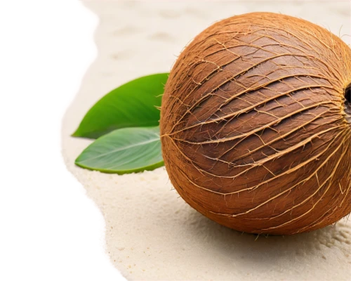 chestnut fruit,betelnut,acorn,chestnut with leaf,walnut oil,hazelnut,coconut shell,sapodilla,indian almond,chestnut fruits,walnut,acrid chestnut,hazelnut bush,roasted chestnut,wild chestnuts,acorns,callebaut,chestnuts,chestnut animal,sweet chestnuts,Photography,Documentary Photography,Documentary Photography 18