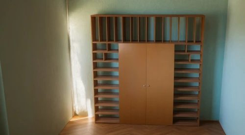 storage cabinet,wine rack,garderobe,schrank,dumbwaiter,wine boxes,walk-in closet,wooden sauna,wardrobes,cupboard,minibar,chambre,celler,antechamber,armoire,cabinet,japanese-style room,humidor,highboard,cabinetry,Photography,General,Realistic