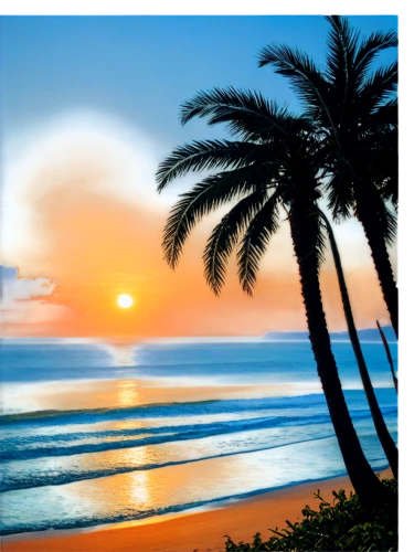 sunrise beach,sunset beach,easter sunrise,coconut palms,sunburst background,paradises,coast sunset,tropical beach,coconut trees,dream beach,tropical sea,palm field,beach landscape,beautiful beaches,hawaii,beach scenery,subset,two palms,varkala,palmbeach,Conceptual Art,Fantasy,Fantasy 05