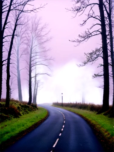 road,empty road,the road,roadless,country road,foggy landscape,forest road,road forgotten,straight ahead,open road,winding road,long road,road to nowhere,backroad,winding roads,photo painting,backroads,fork road,vanishing point,roads,Conceptual Art,Daily,Daily 06