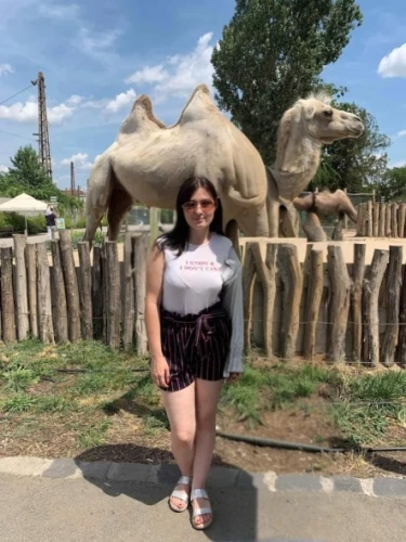 ostrich farm,camel,two-humped camel,camelride,camels,zoo,wildlife park,animal zoo,ingush,camelid,mohyla,marineland,ferghana,camelids,dobrogea,dromedaries,social,balkhash,andijan,shymkent