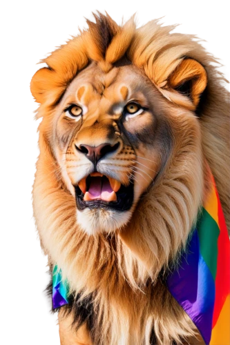 panthera leo,prideful,tiger png,pride,male lion,gay pride,lion,african lion,iraklion,leonine,female lion,lionni,lgbtq,tigon,skeezy lion,lion - feline,mandylion,magan,pflag,male lions,Illustration,Black and White,Black and White 14
