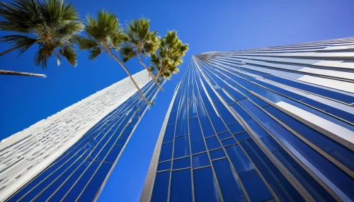 skyscapers,heads of royal palms,royal palms,date palms,two palms,washingtonia,tall buildings,palms,wilshire,verticals,international towers,the palm,skyscraping,high rises,ctbuh,urban towers,fan palm,palmtree,supertall,skyscrapers,Conceptual Art,Sci-Fi,Sci-Fi 15