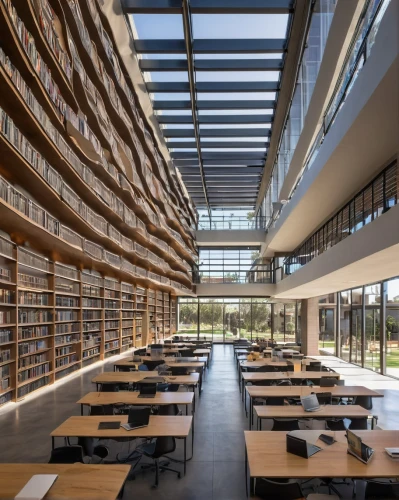 technion,hallward,university library,epfl,celsus library,library,ucsd,esade,kaust,bibliotheque,schulich,bookbuilding,reading room,lecture hall,lecture room,libraries,carrels,bobst,bibliotheca,ucd,Photography,Black and white photography,Black and White Photography 05