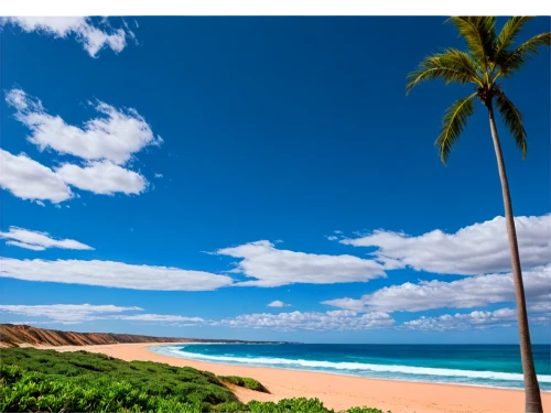 waimea,beach landscape,beautiful beaches,mona vale,hawaii,palmbeach,dream beach,fraser island,ascension island,beach scenery,brazilian beach,hualalai,luquillo,waialua,beautiful beach,tropical beach,kahului,alagoas,laie,windows wallpaper,Art,Classical Oil Painting,Classical Oil Painting 03