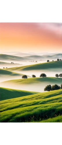 foggy landscape,palouse,rolling hills,landscape background,green landscape,windows wallpaper,moravia,beautiful landscape,grasslands,nature landscape,fog banks,morning mist,landscape nature,meadow landscape,green fields,toscane,mists,sea of fog,nature wallpaper,grassland,Photography,Artistic Photography,Artistic Photography 02