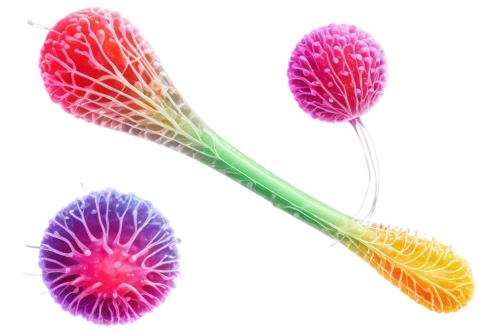 microtubules,spirochetes,spermatozoa,spermatogenesis,cytoskeleton,pylori,spermatogonia,flagella,biosamples icon,spermatozoon,paraphyses,centrosomes,nanotubes,tubules,melanosomes,sporozoites,mitotic,microtubule,centrioles,petiole,Conceptual Art,Oil color,Oil Color 19