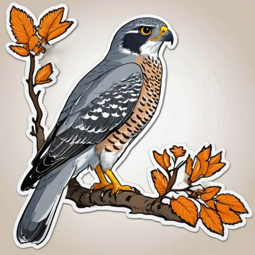 lanner falcon,peregrine thrush,northern goshawk,falconidae,aplomado falcon,turdus philomelos,sparrow hawk,new zealand falcon,cooper's hawk,flower and bird illustration,peregrine falcon,goshawk,noisy miner,bird illustration,caracara,american kestrel,an ornamental bird,falconieri,northern harrier,gyrfalcon,Unique,Design,Sticker