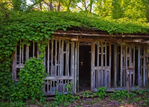 garden shed,sheds,springhouse,cabins,outbuilding,abandoned building,forest chapel,greenhut,old barn,shed,woodshed,abandoned place,outbuildings,field barn,cooling house,kudzu,greenhouse,abandoned places,farm hut,horse stable,Art,Artistic Painting,Artistic Painting 08