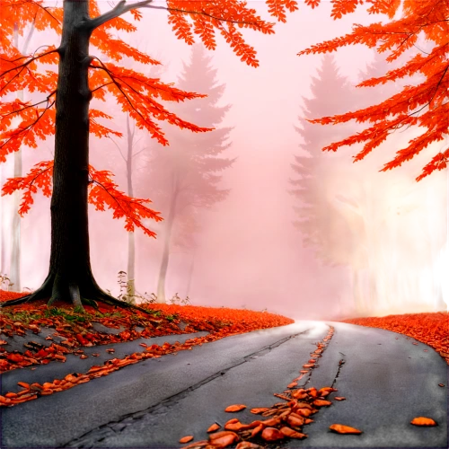 autumn background,autumn forest,forest road,autumn scenery,autumn frame,maple road,autumn fog,autumn trees,fall landscape,autumn day,autumn morning,autumn idyll,autumn landscape,autumn walk,just autumn,autumn theme,autumn,the autumn,mountain road,one autumn afternoon,Conceptual Art,Sci-Fi,Sci-Fi 15